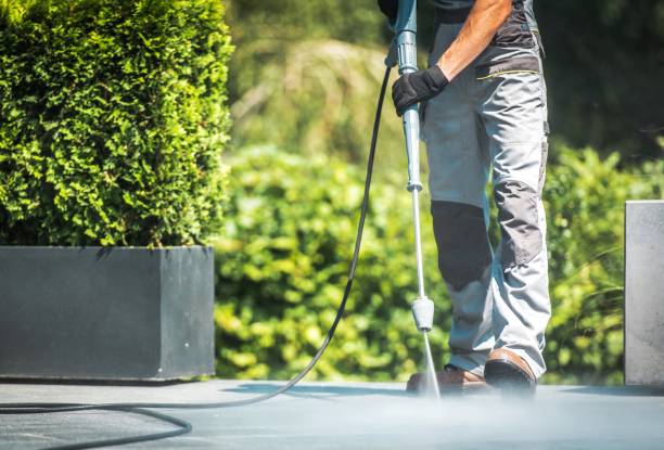 Professional Pressure Washing Services in Lake Forest Park, WA