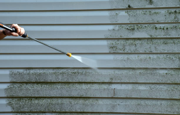 Best Gutter Cleaning  in Lake Forest Park, WA