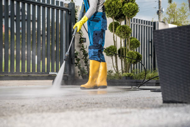 Spring Cleaning in Lake Forest Park, WA